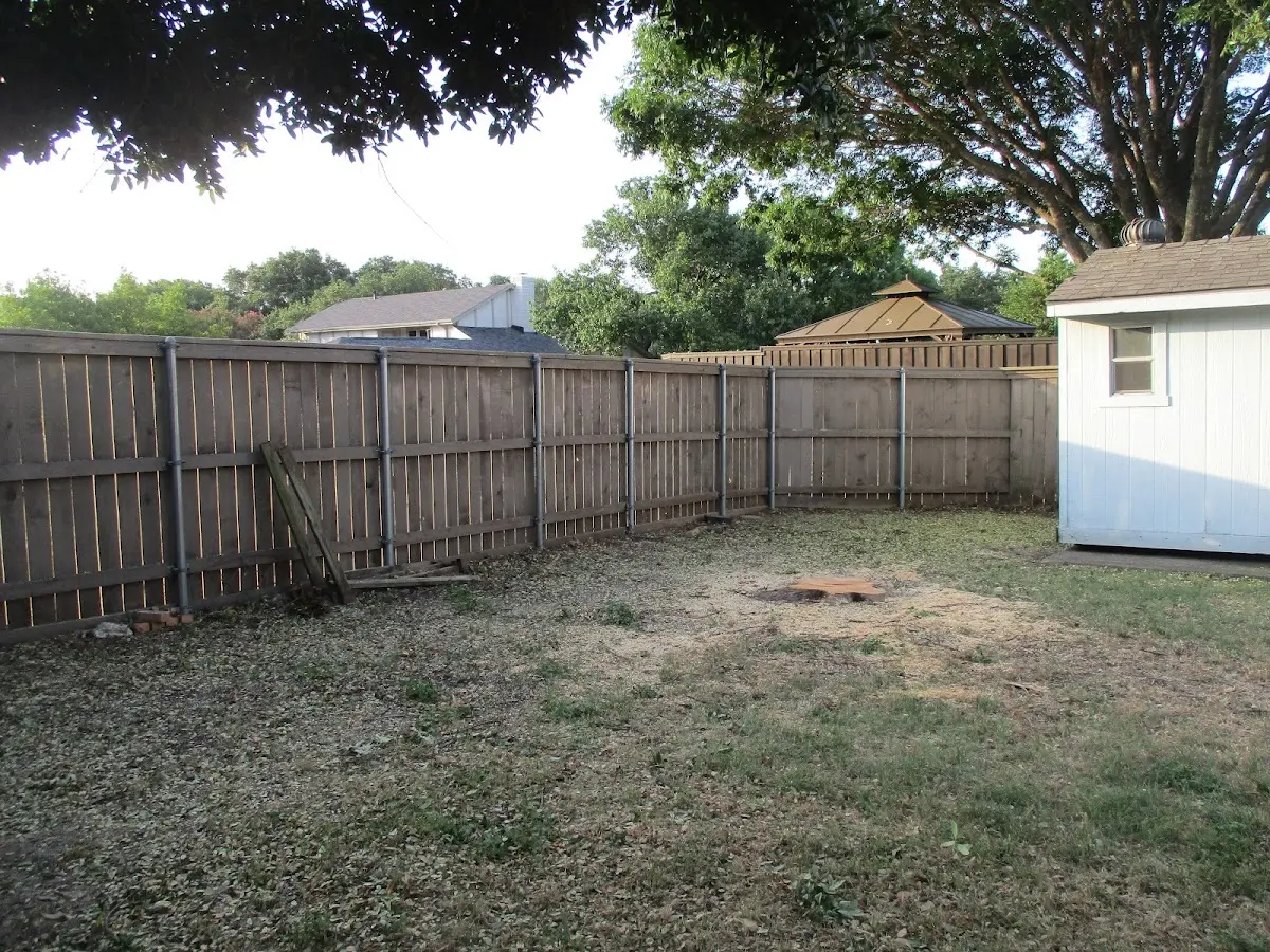 Cleared yard after professional tree removal in Boyd