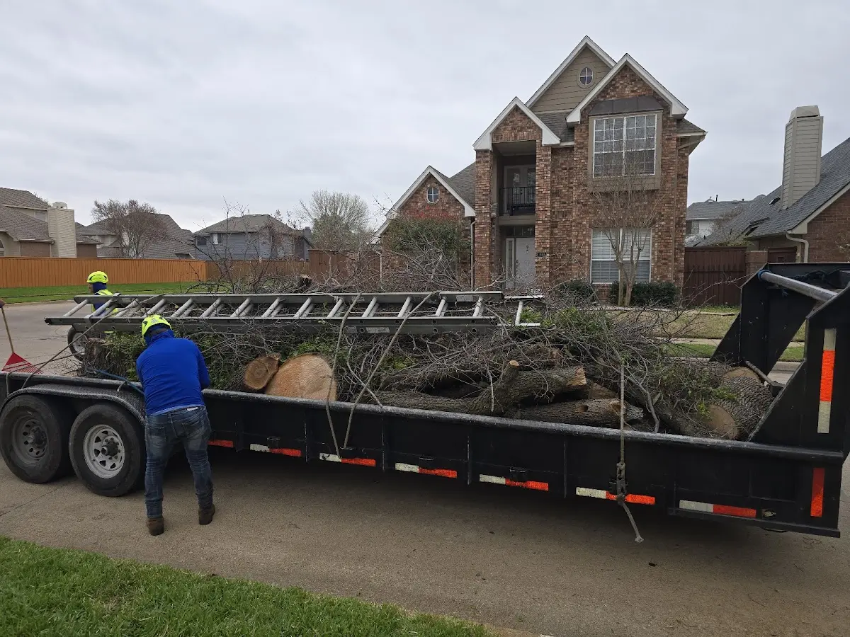 Expert Tree Fertilization with proper safety equipment in Boyd